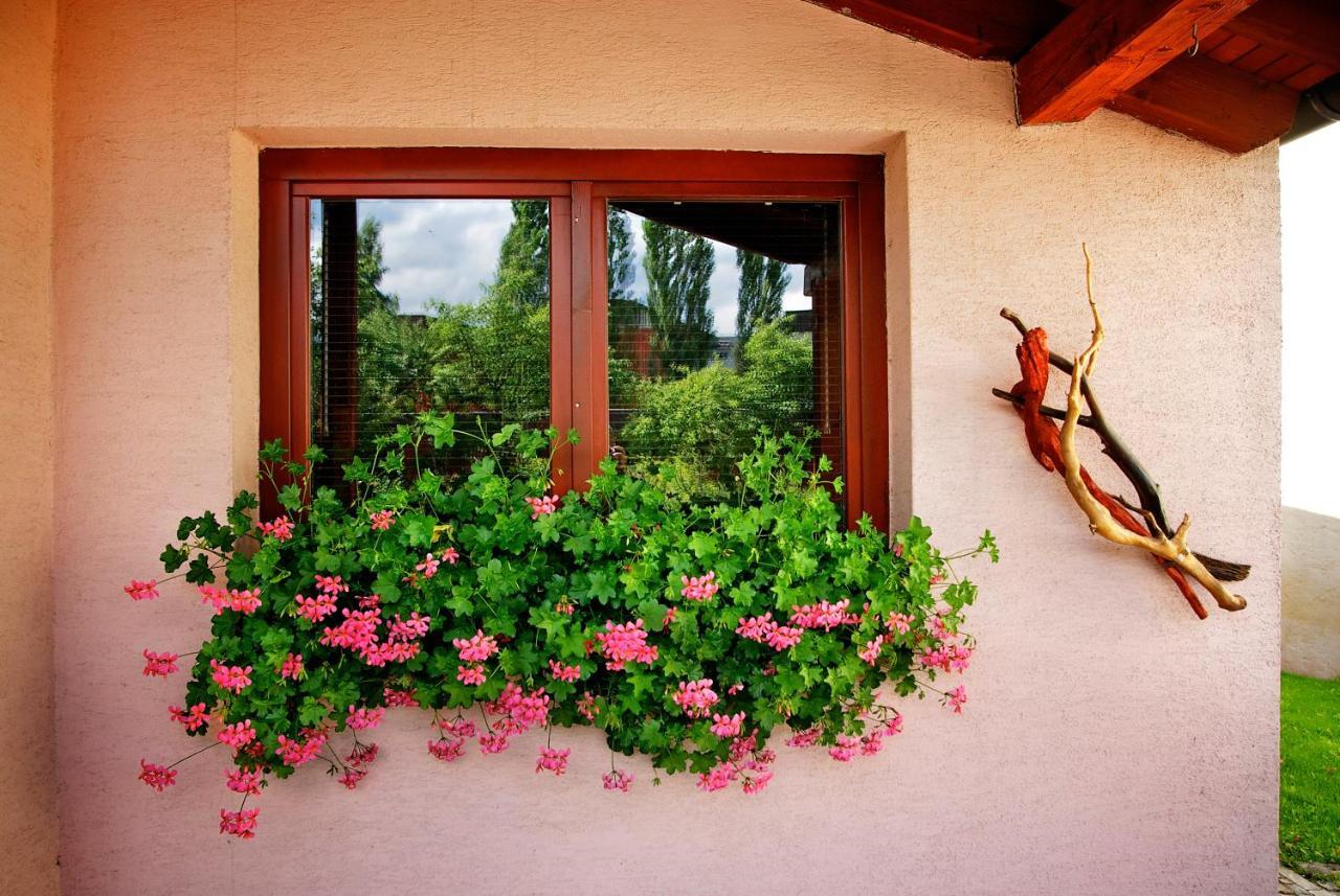 Penzion Plesnivec Poprad Exterior photo